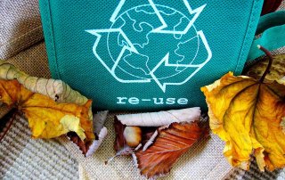 reusable shopping bag with “re-use” message