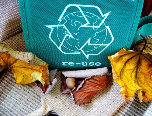 Green Marketing in Canada: Promoting Sustainability with Authenticity